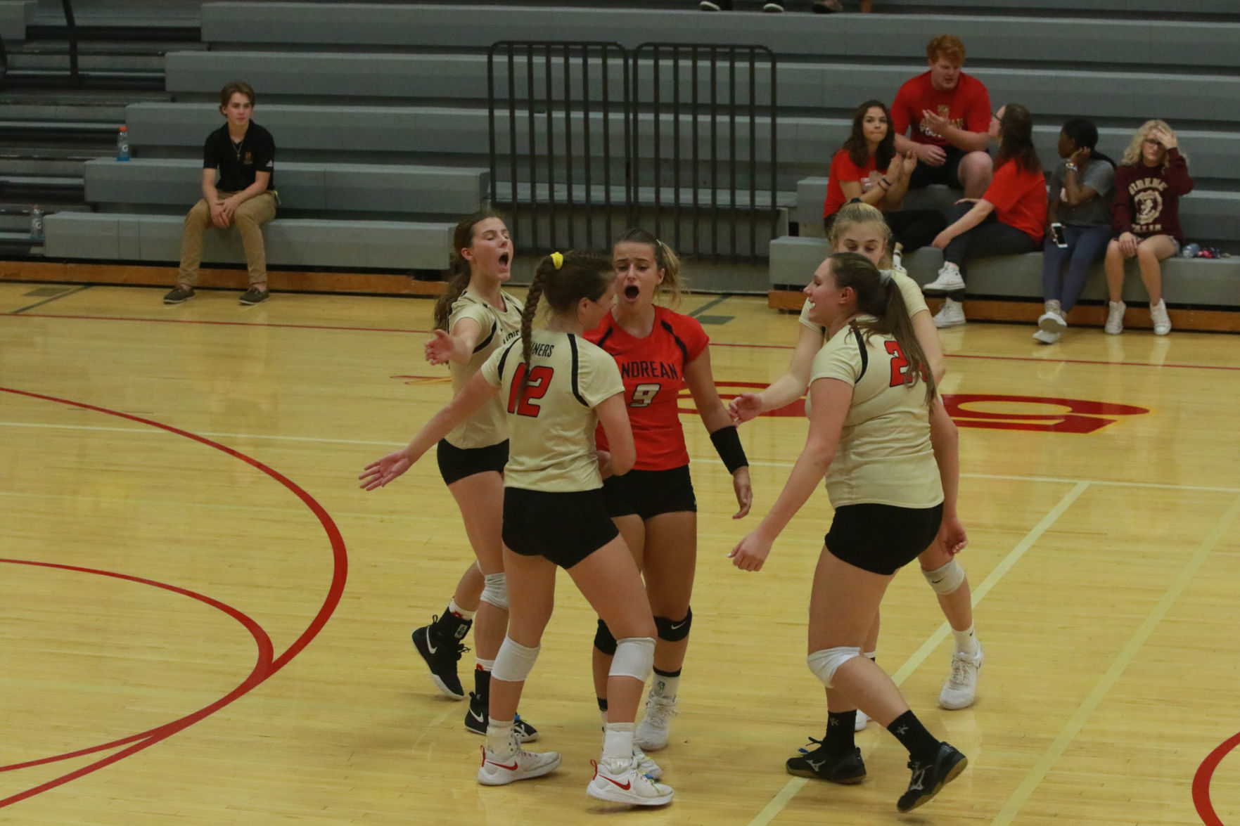 Gallery: Girls volleyball - Wheeler at Andrean